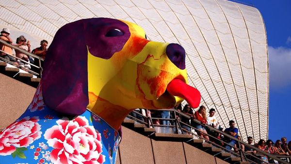 Foto: Lampion Anjing Raksasa Saat Imlek di Sydney