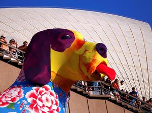 Foto: Lampion Anjing Raksasa Saat Imlek di Sydney