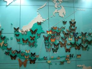 Long Weekend dengan Keluarga: Main Sama Serangga di Taman Mini