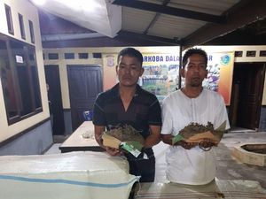 Polisi Aceh Gagalkan Penyelundupan 400 Kg Ganja ke Jakarta