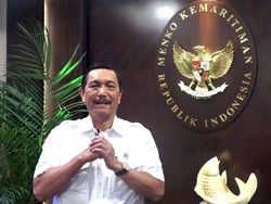 Ucapkan Selamat Imlek, Ini Pesan Luhut Hadapi Tahun Anjing Tanah