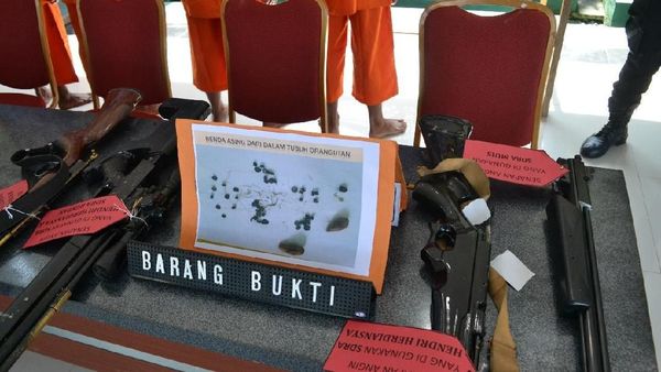 Penampakan Senapan Angin yang Dipakai Bunuh Orang Utan di Kaltim