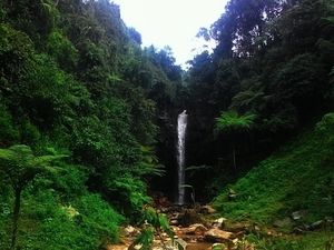 Curug Sentral, Air Terjun Cantik di Perkebunan Teh