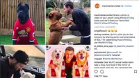Manchester United merayakan Tahun Anjing Tanah dengan memunculkan sejumlah pemainnya beserta para anjing kesayangan. Fans pun diminta untuk mengirimkan foto-foto menarik anjing mereka. (Foto: Instagram)