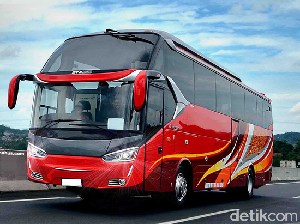 Sasis Mercy, Scania dll Jadi Bus Gagah di Tempat Ini