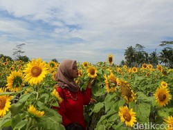 4 Tempat Wisata di Yogyakarta yang Hits, Asyik Buat Foto-foto