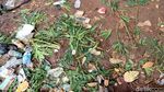 Taman Rusak dan Sampah Bertebaran di GBK yang Bikin Miris