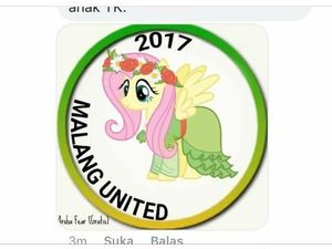 Ini Dia Lelucon Logo Baru Malang United