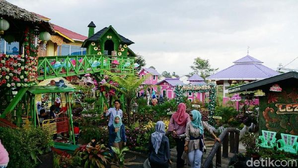 Foto: Taman Bunga yang Hits di Bukittingi