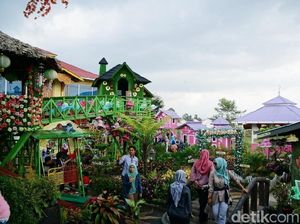 Foto: Taman Bunga yang Hits di Bukittingi
