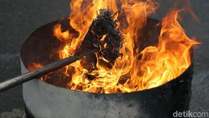 Polres Jakut Musnahkan 42 Kg Ganja