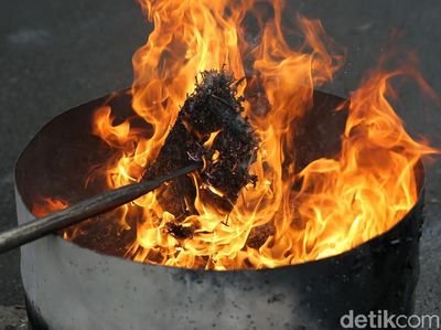 Polres Jakut Musnahkan 42 Kg Ganja