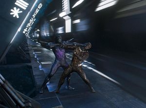 Spesies Baru Ini Diberi Nama Wakanda, Kenapa? Spesies Baru Ini Diberi Nama Wakanda, Kenapa?
