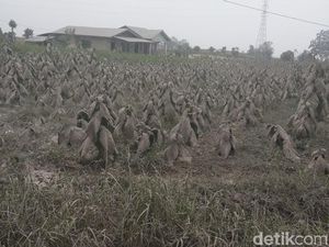 Gunung Sinabung Semburkan Abu Vulkanik 5 Km, 4 Kecamatan Terdampak