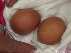 Fenomena Manusia Bertelur yang Tak Selalu Bisa Dijelaskan