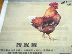 Pemerintah Malaysia Dicemooh Soal Iklan Tahun Baru Imlek