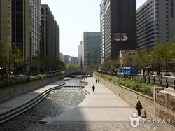 Dari Lobster Hingga Kimchi di Makan Bergizi