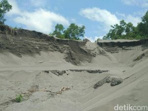 Waduh, Gumuk Pasir di Parangtritis Kembali Ditambang