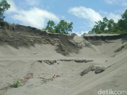 Waduh, Gumuk Pasir di Parangtritis Kembali Ditambang