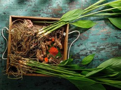 Selain Bikin Gulai Jadi Harum, Ini 5 Manfaat Sehat Daun Kunyit