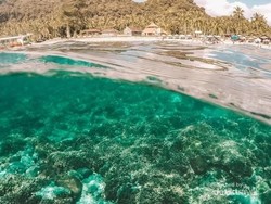 Beginilah Keelokan Surga Bawah Laut dari Nusa Penida
