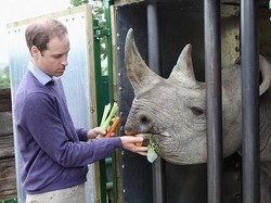 Ketika Pangeran Inggris Jatuh Cinta dengan Afrika