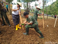 Pemkab Trenggalek Tanam Kedelai di Hutan Kejar Taget Swasembada