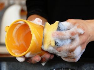 Peralatan Dapur yang Tak Bersih Bisa Pengaruhi Rasa dan Aroma Makanan Peralatan Dapur yang Tak Bersih Bisa Pengaruhi Rasa dan Aroma Makanan