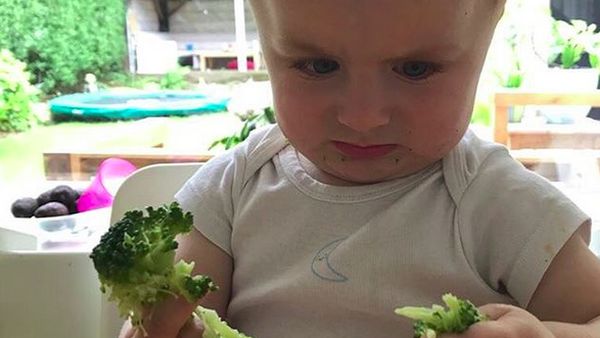 Lucu Banget! Ekspresi Anak-anak Saat Makan Sayur