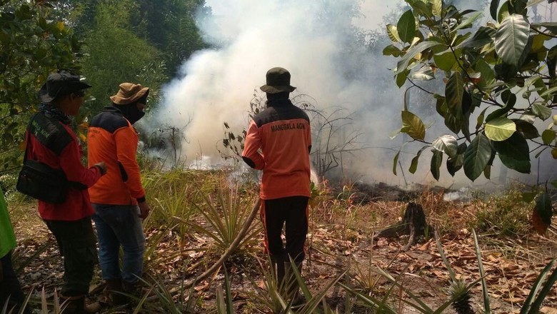 Sumsel, Riau, Kalbar, dan Kalteng Siaga Darurat Karhutla