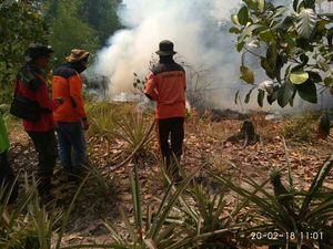 Sumsel, Riau, Kalbar, dan Kalteng Siaga Darurat Karhutla