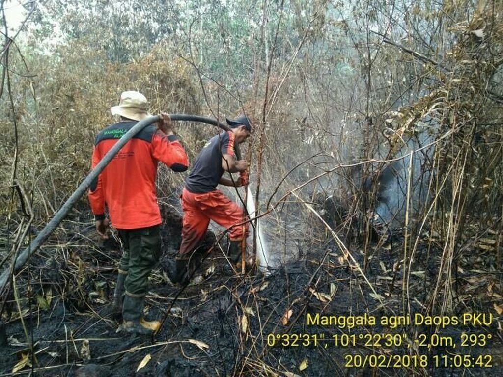 Lahan Terbakar di Riau Meningkat Jadi 749 Hektare