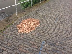 Begini Reaksi Orang Lihat Gundukan Uang Logam di Pinggir Jalan