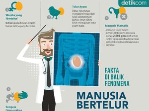 Infografis: Fakta-fakta di Balik Fenomena Manusia Bertelur Infografis: Fakta-fakta di Balik Fenomena Manusia Bertelur