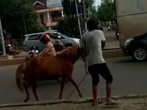 Kuda Mengamuk di Jalan Raya Bikin Geger Kota Palembang