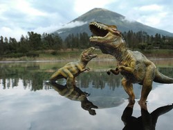 Keren! Berkat Foto Mainan, Helmy Sukses Rambah Mancanegara