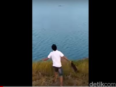 Detik-detik Anjing Dilemparkan untuk Jadi Santapan Buaya yang Viral