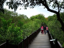Dipenuhi Sampah, Mangrove Wonorejo Terancam Jadi TPA