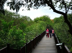 Dipenuhi Sampah, Mangrove Wonorejo Terancam Jadi TPA Dipenuhi Sampah, Mangrove Wonorejo Terancam Jadi TPA