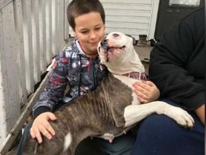 Ekspresi Bahagia Bocah AS yang Diselamatkan Anjingnya dari Perampokan