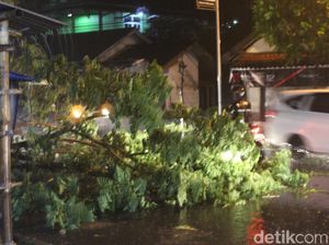 Hujan Angin di Garut, Pohon Tumbang Timpa Kabel Listrik dan Jalan