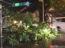 Hujan Angin di Garut, Pohon Tumbang Timpa Kabel Listrik dan Jalan