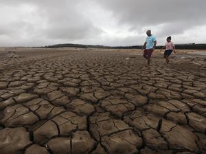 Terbesar Dalam Sejarah! Afrika Ajukan Utang Rp 1.450 T Ke Bank Dunia