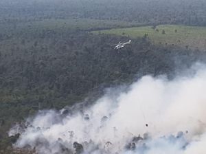 Penampakan Si Jago Merah Lahap Hutan California