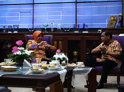 Risma Siapkan Rp 17 M untuk Bebaskan Lahan Kebun Raya Mangrove