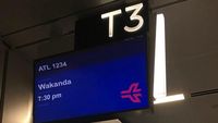 Wakanda Forever! Reaksi Kocak Soal Jadwal ke Wakanda di Bandara Atlanta