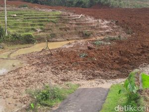 Tanah Masih Labil Persulit Evakuasi Korban Longsor di Brebes
