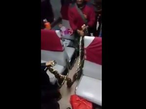 Pemilik Misterius, Ular Sanca KA Kertajaya Dititipkan ke Pencinta Hewan Pemilik Misterius, Ular Sanca KA Kertajaya Dititipkan ke Pencinta Hewan