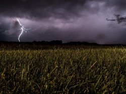 Penggembala Bebek di Banyuwangi Tewas Tersambar Petir