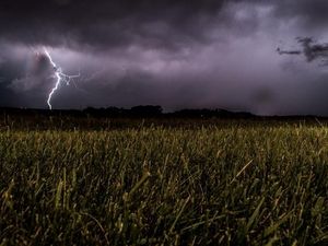 Dua Petani di Kabupaten Bandung Tewas Tersambar Petir Saat Panen Padi Dua Petani di Kabupaten Bandung Tewas Tersambar Petir Saat Panen Padi